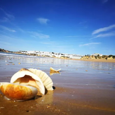 Apartamento Luxe With Pool, Airco And Seaview Balcony - Go4portugal -